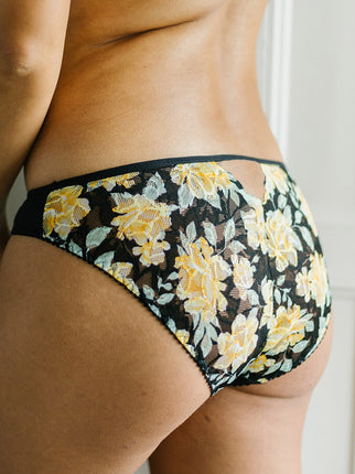 Emily Gialla Brief